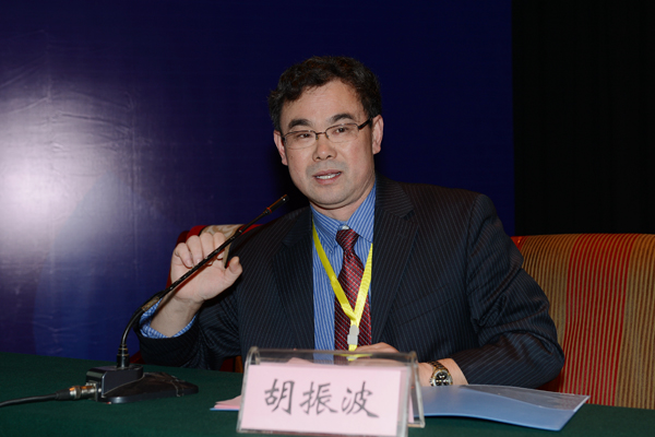 泰山学者海外特聘专家胡振波作报告