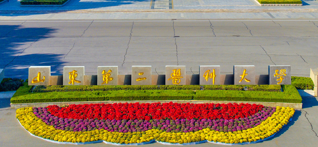 必赢242net官网信息公开网